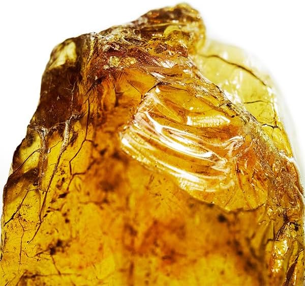 Davidoff Cool Water Man Eau de Toilette